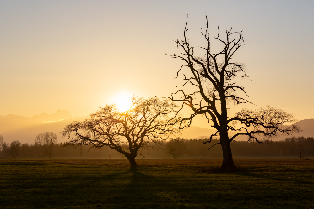 Lauteracherried im Jänner 94
